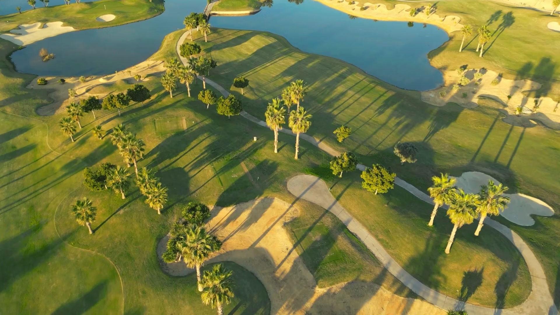 Harbor Dunes